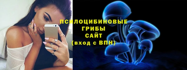 шишки Алексин