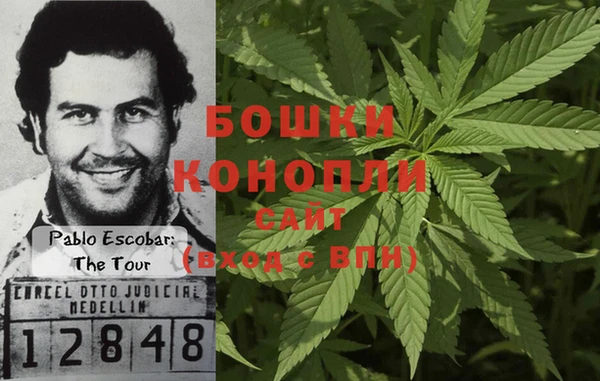 Альфа ПВП Алзамай