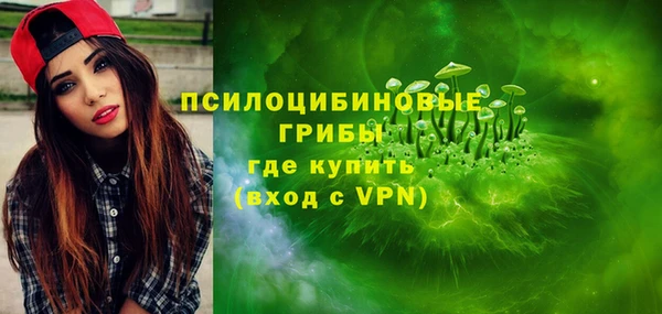 Альфа ПВП Алзамай