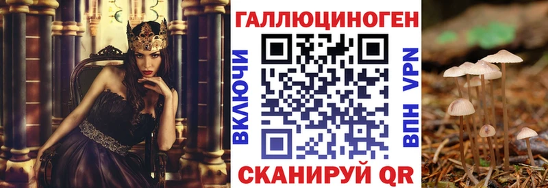 где можно купить   нарко площадка официальный сайт  Галлюциногенные грибы мицелий  Жуковский 