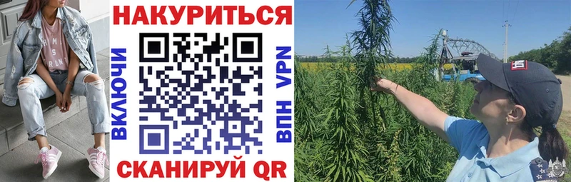Канабис гибрид Жуковский